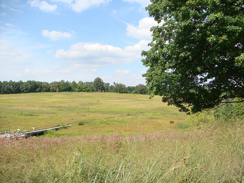 076 Longwood Gardens [2008 August 23].JPG - Longwood Gardens in Pennsylvania